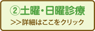 2 土曜・日曜診療